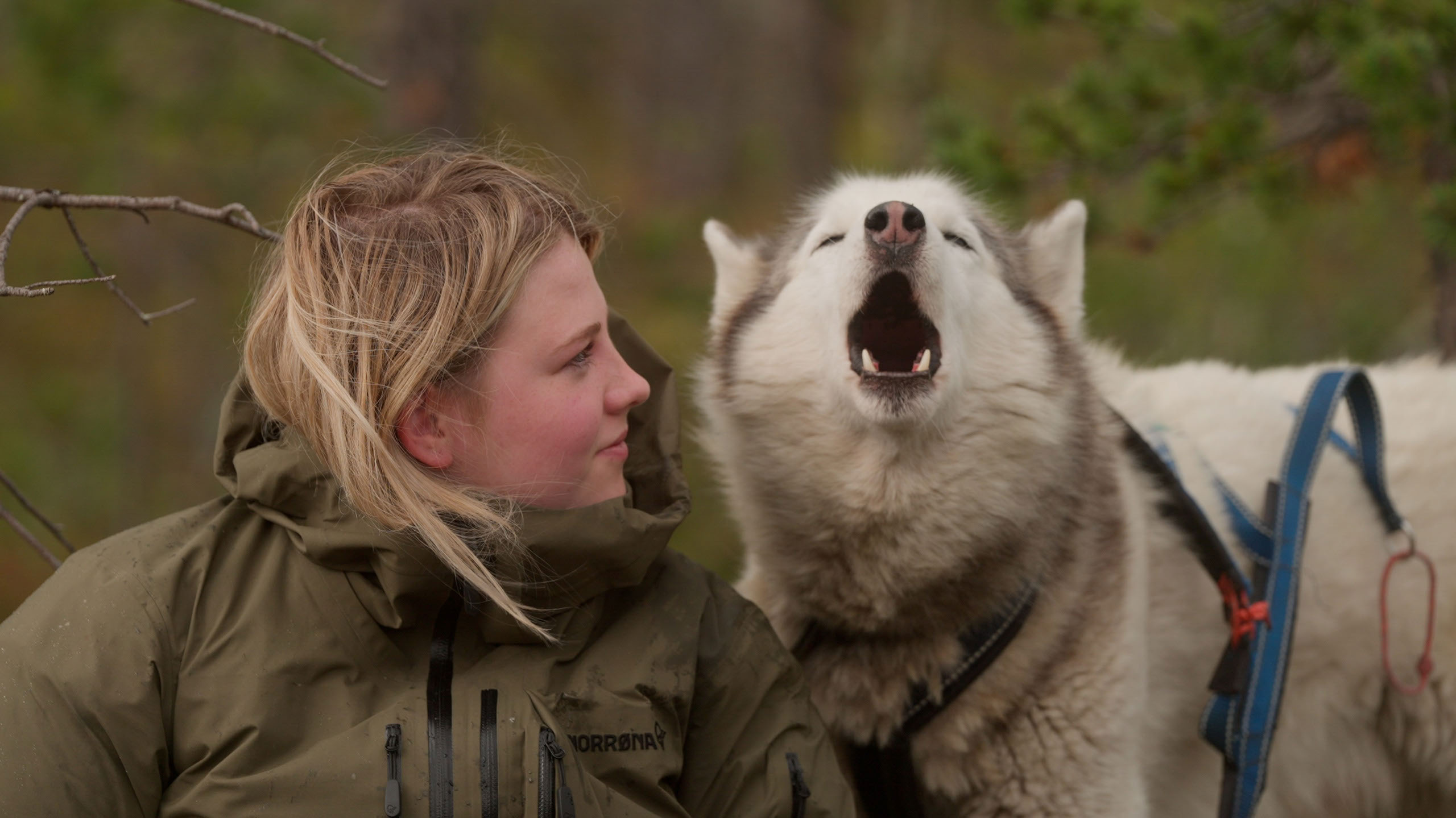A blond young woman looks at a howling dog.